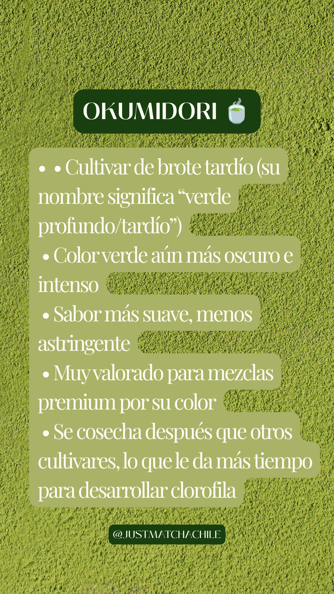 Matcha Ceremonial 100% Orgánico