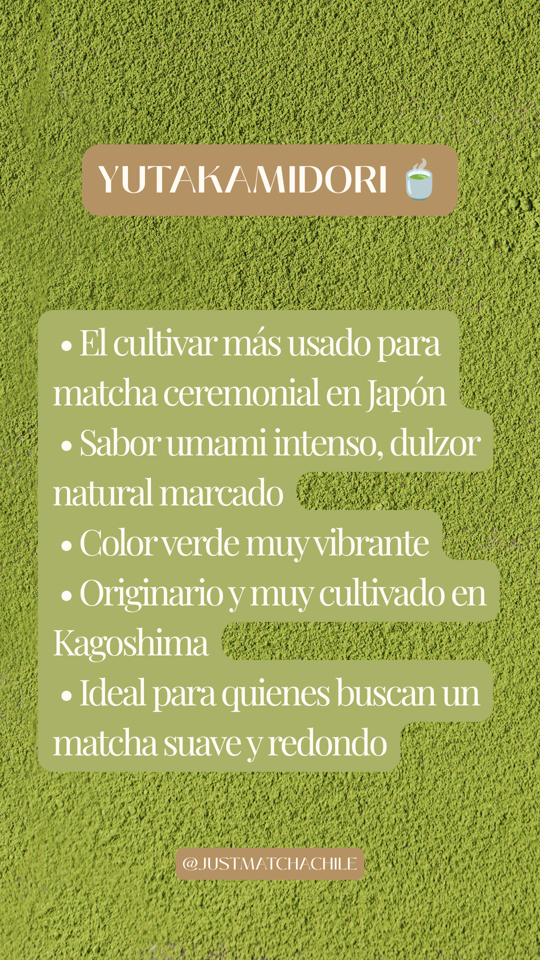 Matcha Ceremonial 100% Orgánico